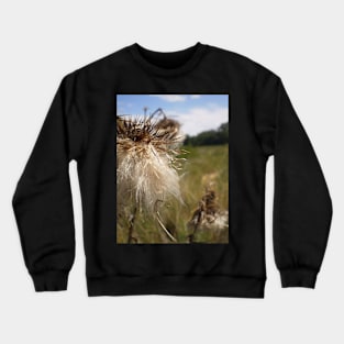 Dandy Lion Crewneck Sweatshirt